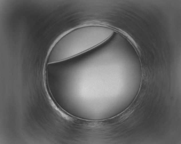 X0000084541387200702230857