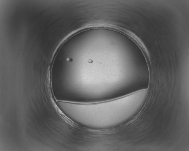 X0000084541388200702230857