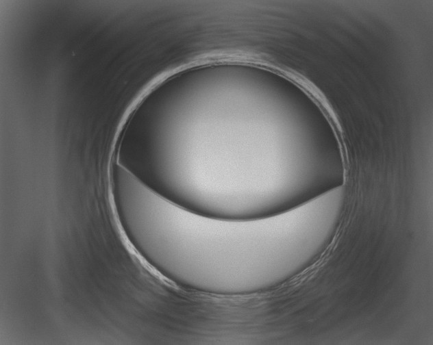 X0000084541389200702230857
