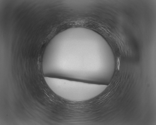 X0000084541395200702230856