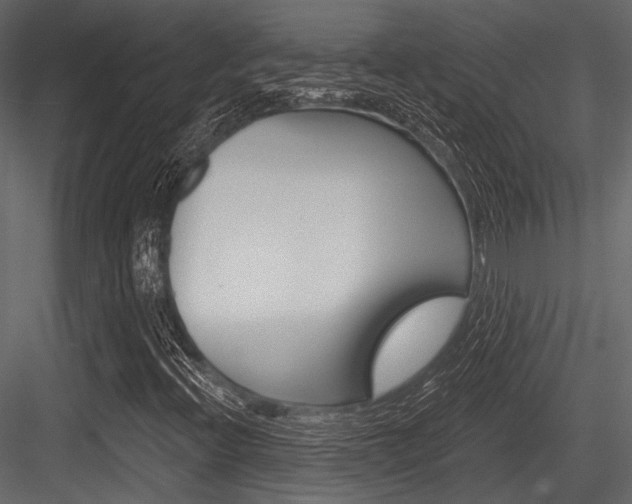 X0000084541396200702230856