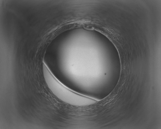 X0000084541398200702230856
