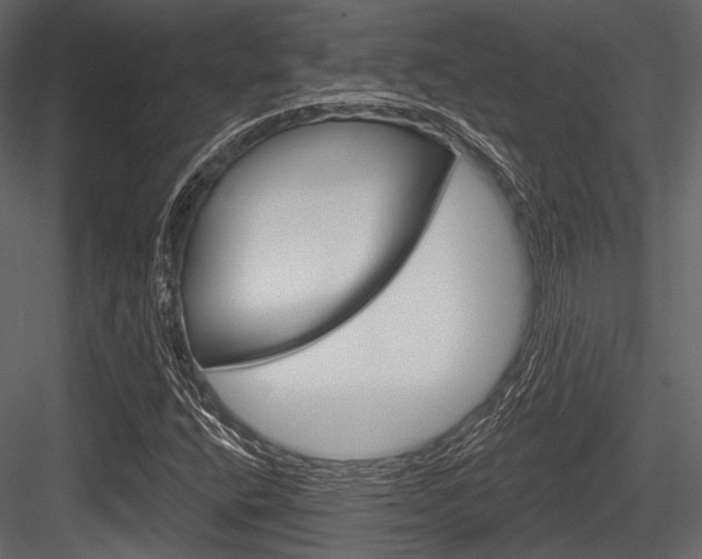 X0000084541400200702230856
