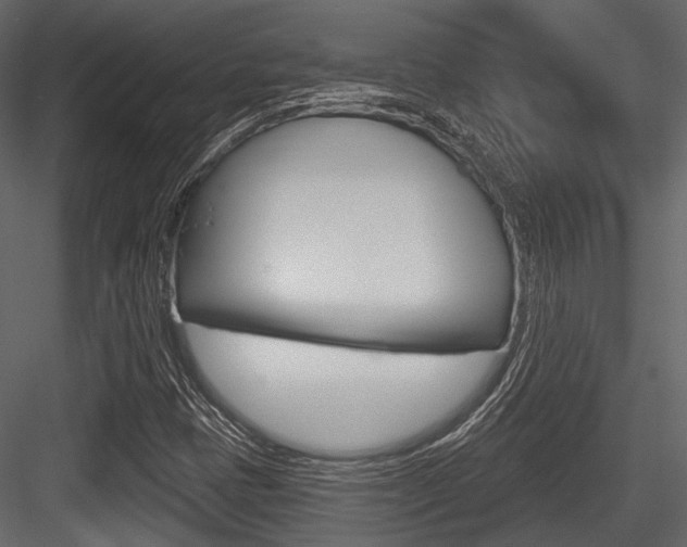 X0000084541401200702230856