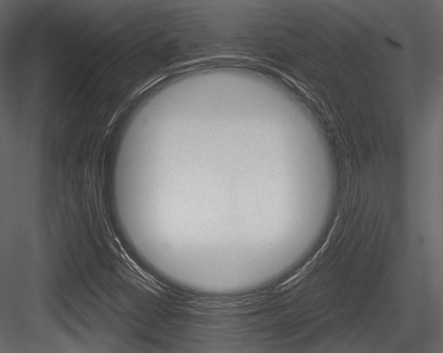 X0000084541402200702230856