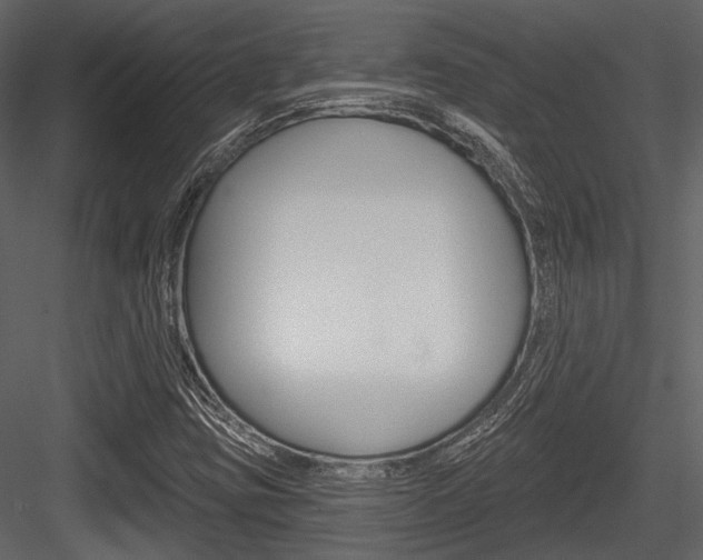 X0000084541403200702230856