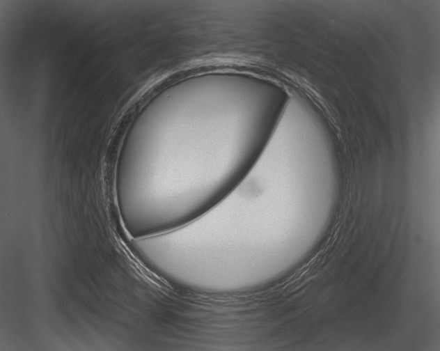 X0000084541404200702230856