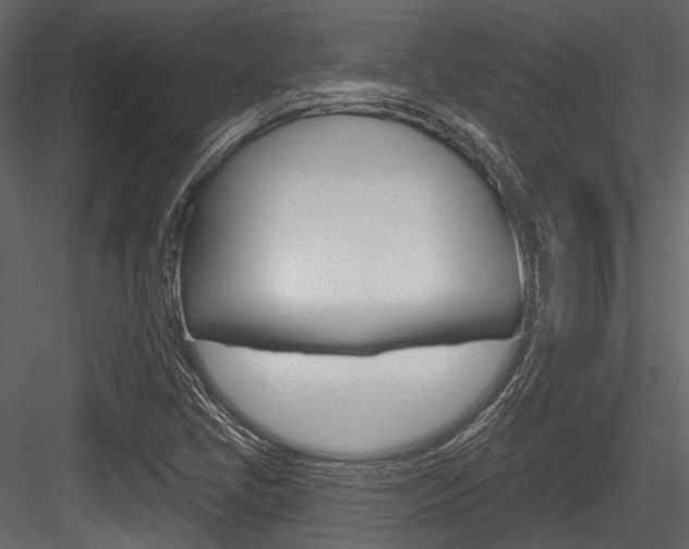 X0000084541405200702230856