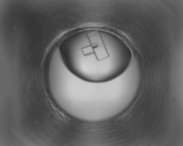 X0000084541406200702230856