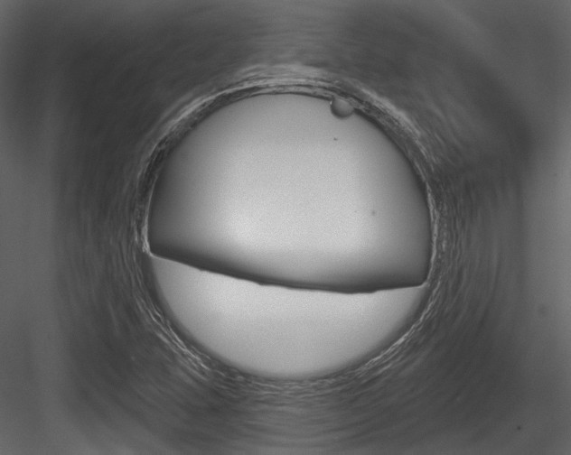 X0000084541407200702230856