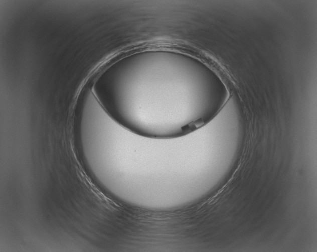 X0000084541410200702230856