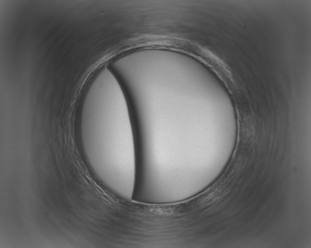 X0000084541411200702230856