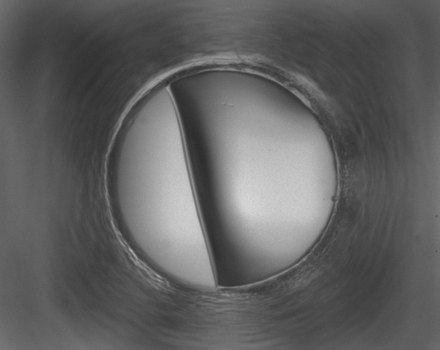 X0000084541412200702230856