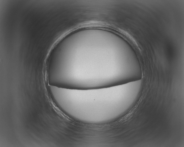 X0000084541413200702230856