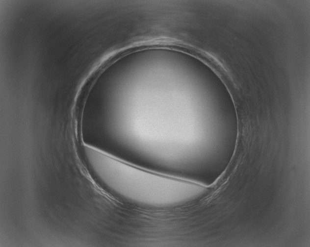 X0000084541414200702230856