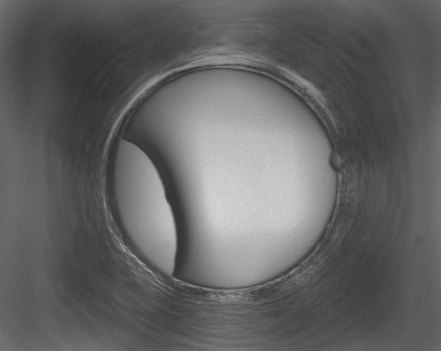 X0000084541415200702230856