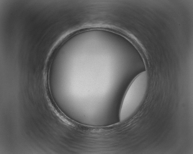 X0000084541416200702230856