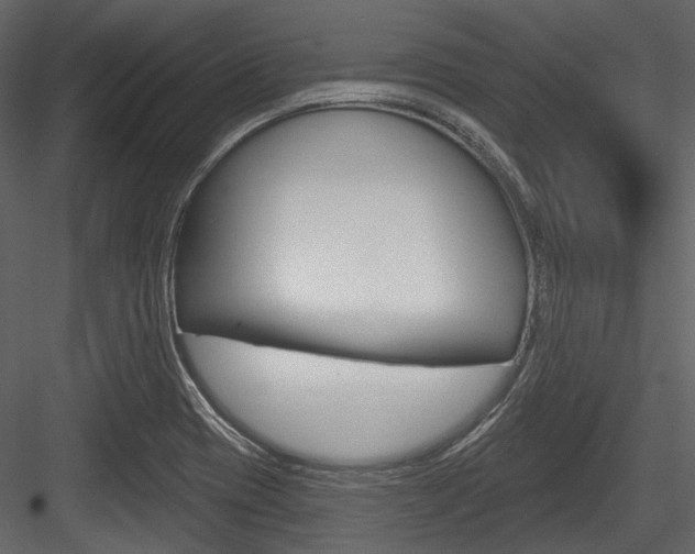 X0000084541417200702230856