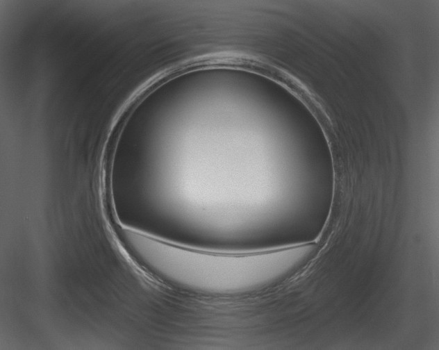 X0000084541418200702230856