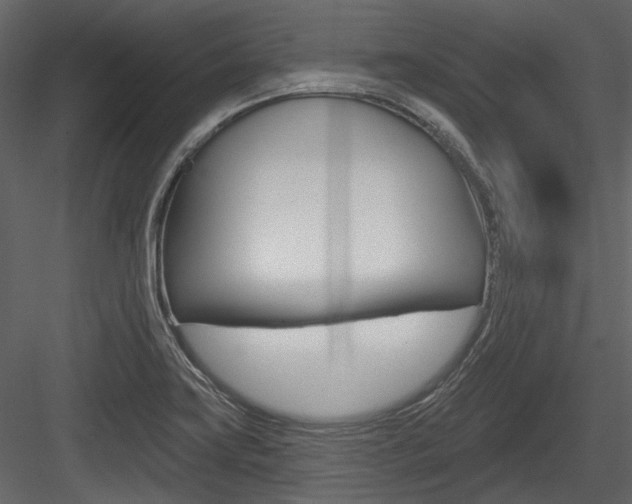 X0000084541419200702230856