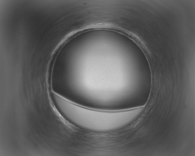 X0000084541422200702230856