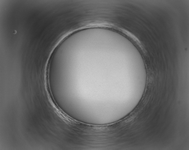 X0000084541423200702230856