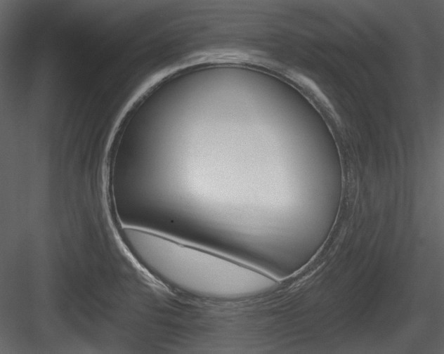 X0000084541424200702230856