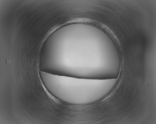 X0000084541425200702230856