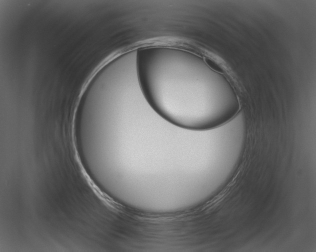 X0000084541426200702230856