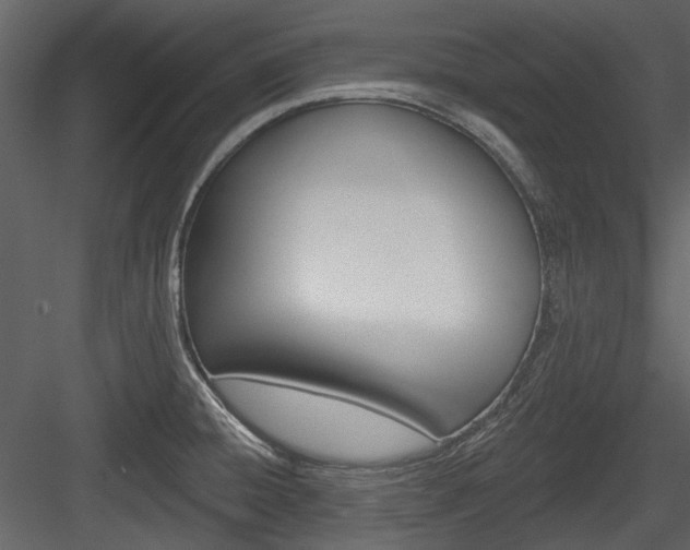 X0000084541428200702230856
