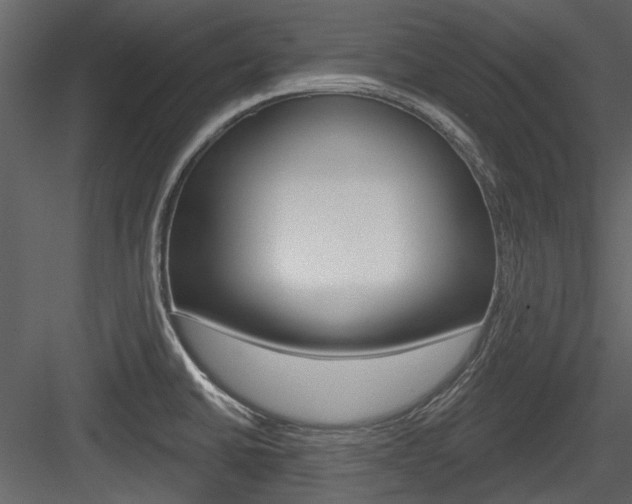 X0000084541430200702230856