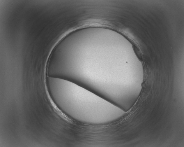 X0000084541431200702230856