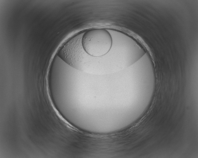 X0000084541432200702230856