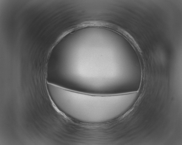 X0000084541433200702230856