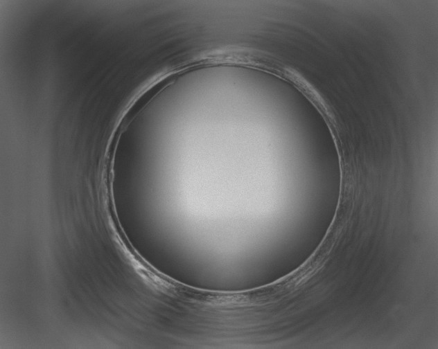 X0000084541434200702230856