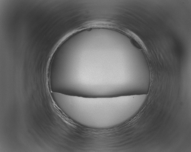 X0000084541435200702230856