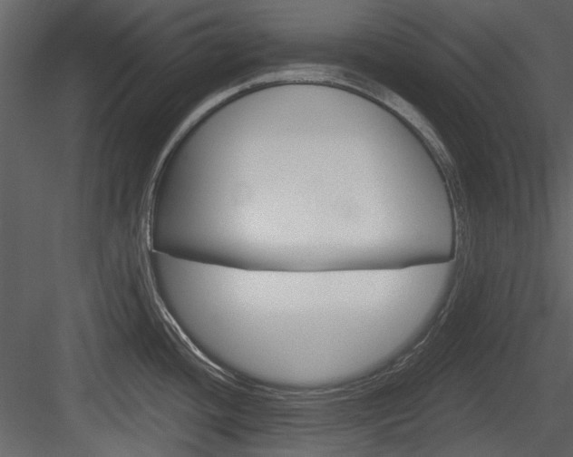 X0000084541436200702230857