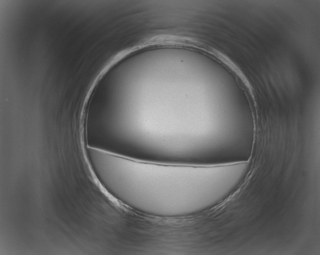 X0000084541437200702230857