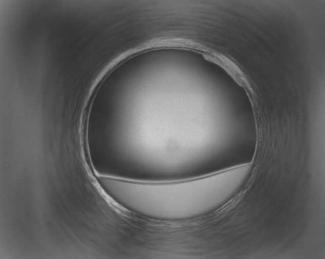 X0000084541438200702230857