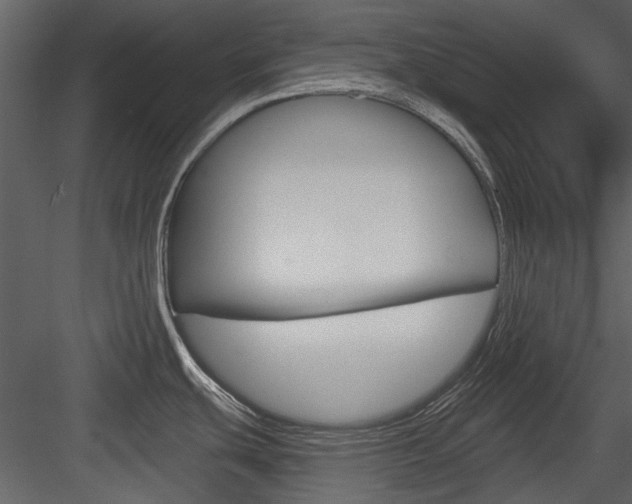 X0000084541439200702230857