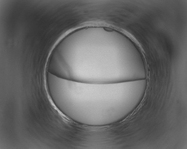 X0000084541440200702230857