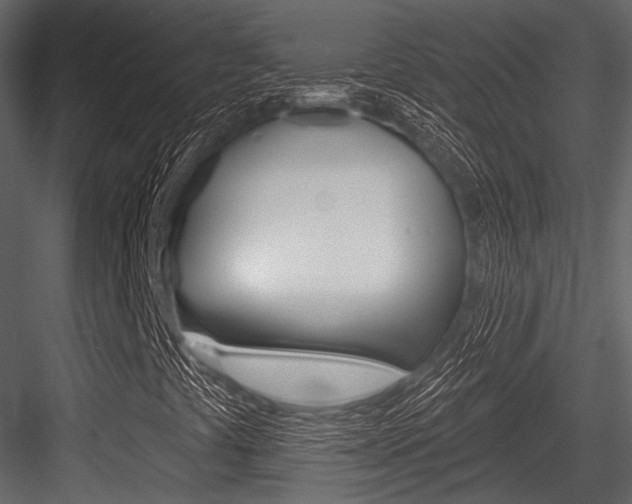X0000084541441200702230856