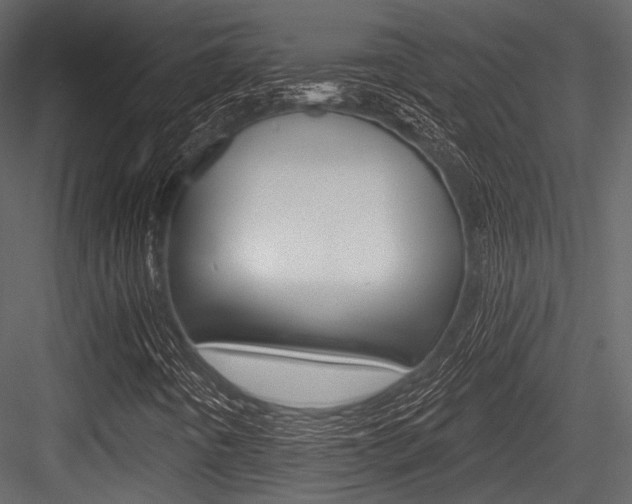 X0000084541442200702230856