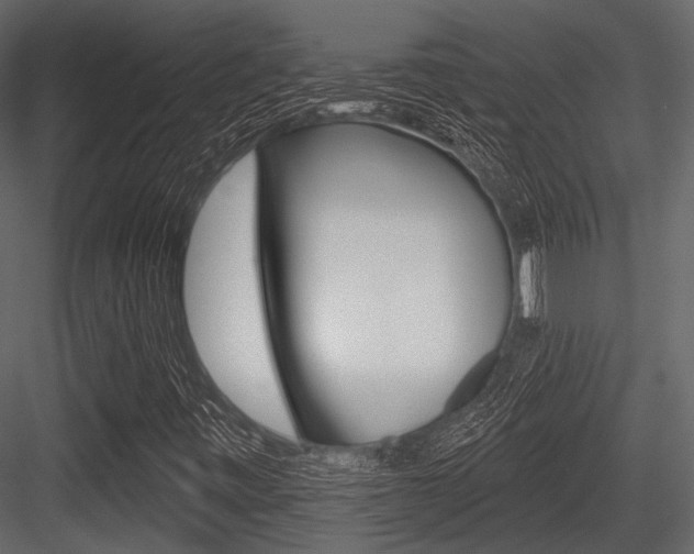 X0000084541443200702230856