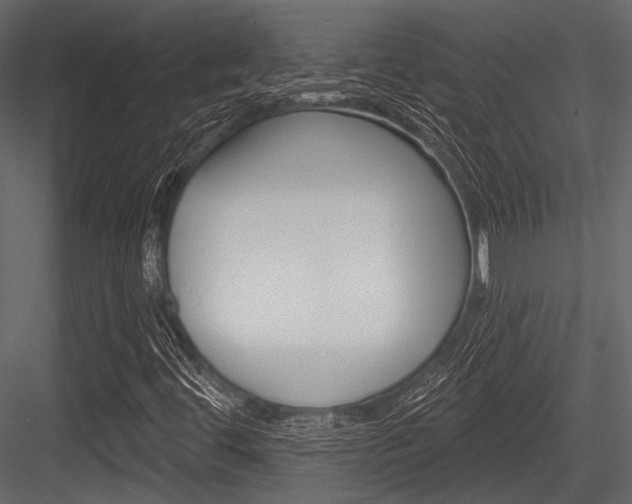 X0000084541444200702230856