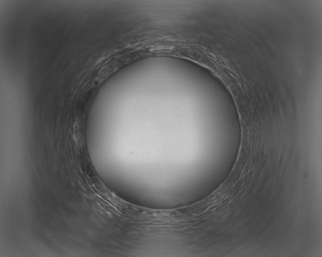 X0000084541445200702230856
