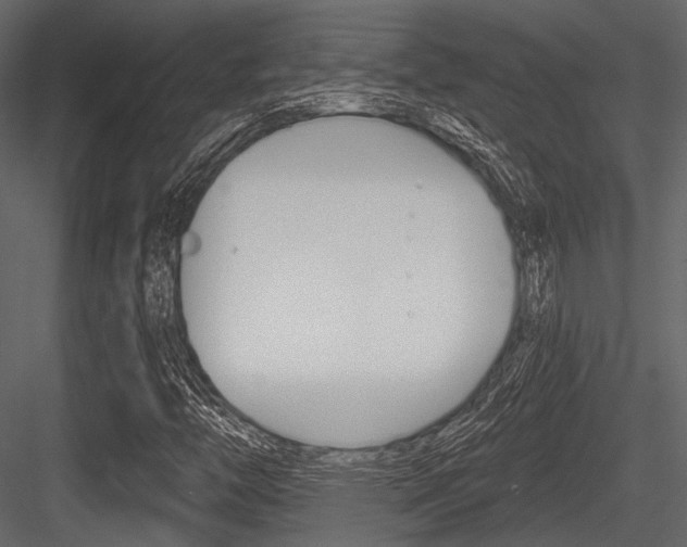 X0000084541446200702230856