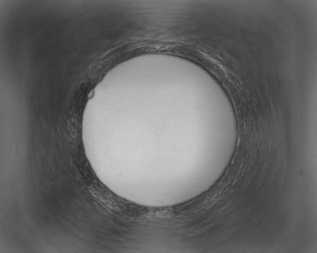 X0000084541447200702230856