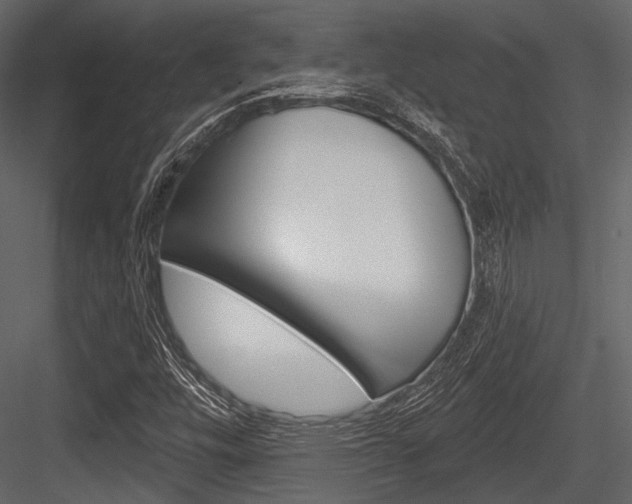 X0000084541448200702230856