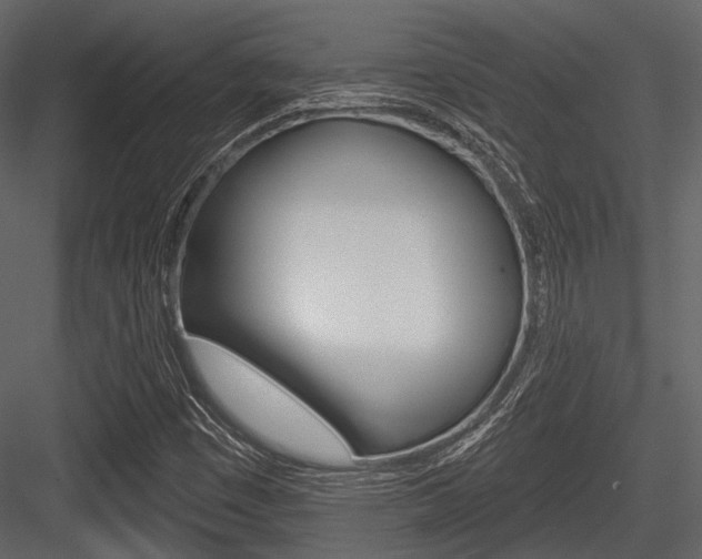 X0000084541449200702230856
